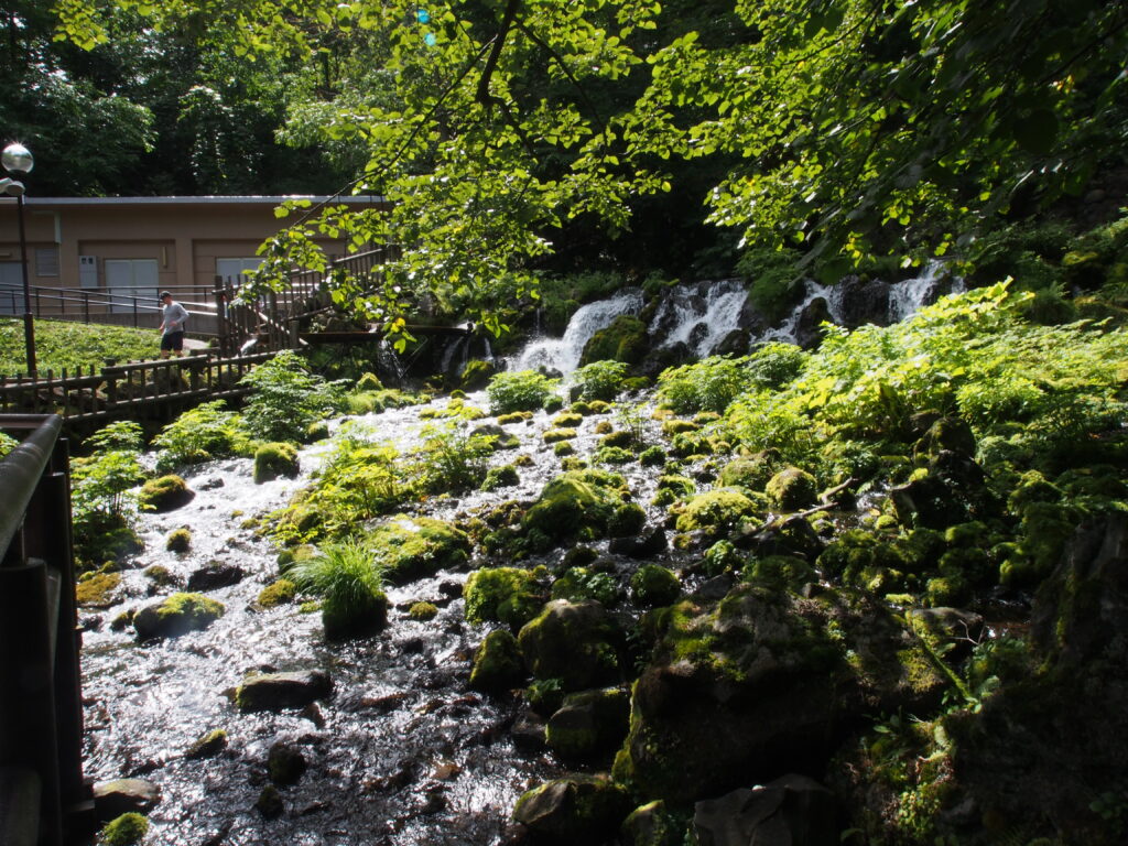 北海道にて