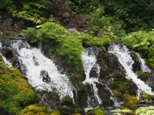 いつかの北海道